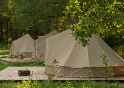 Shortbreaks (belltenten en camping POD)